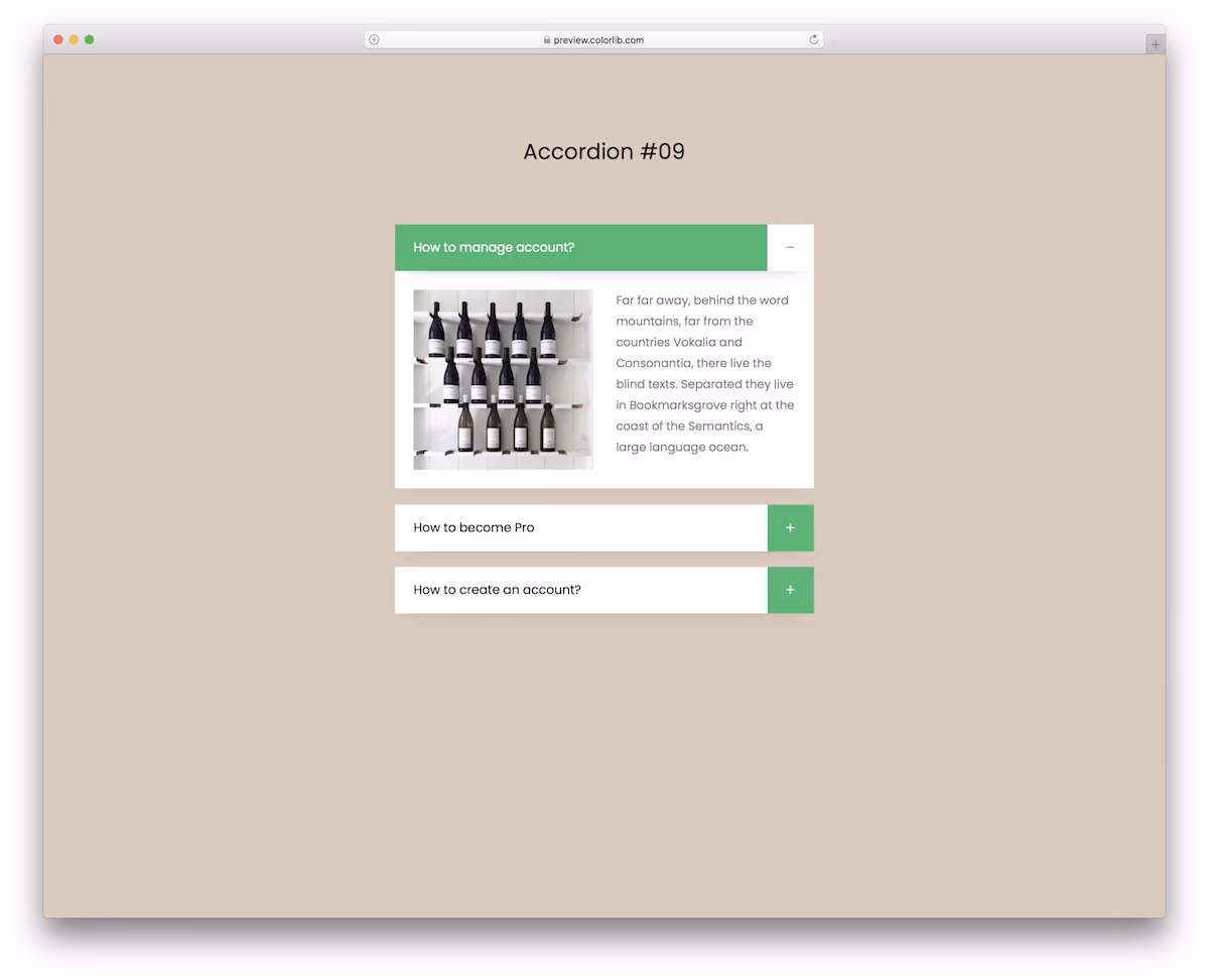 Bootstrap Accordion V09