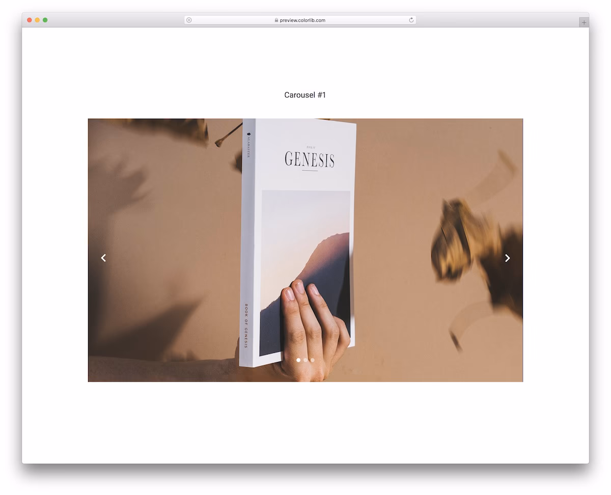 Carousel V11