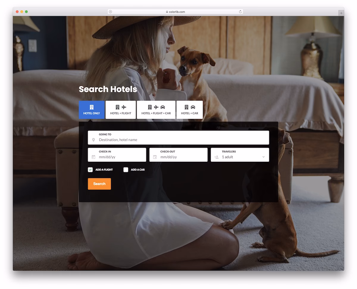 Colorlib Search Form V11