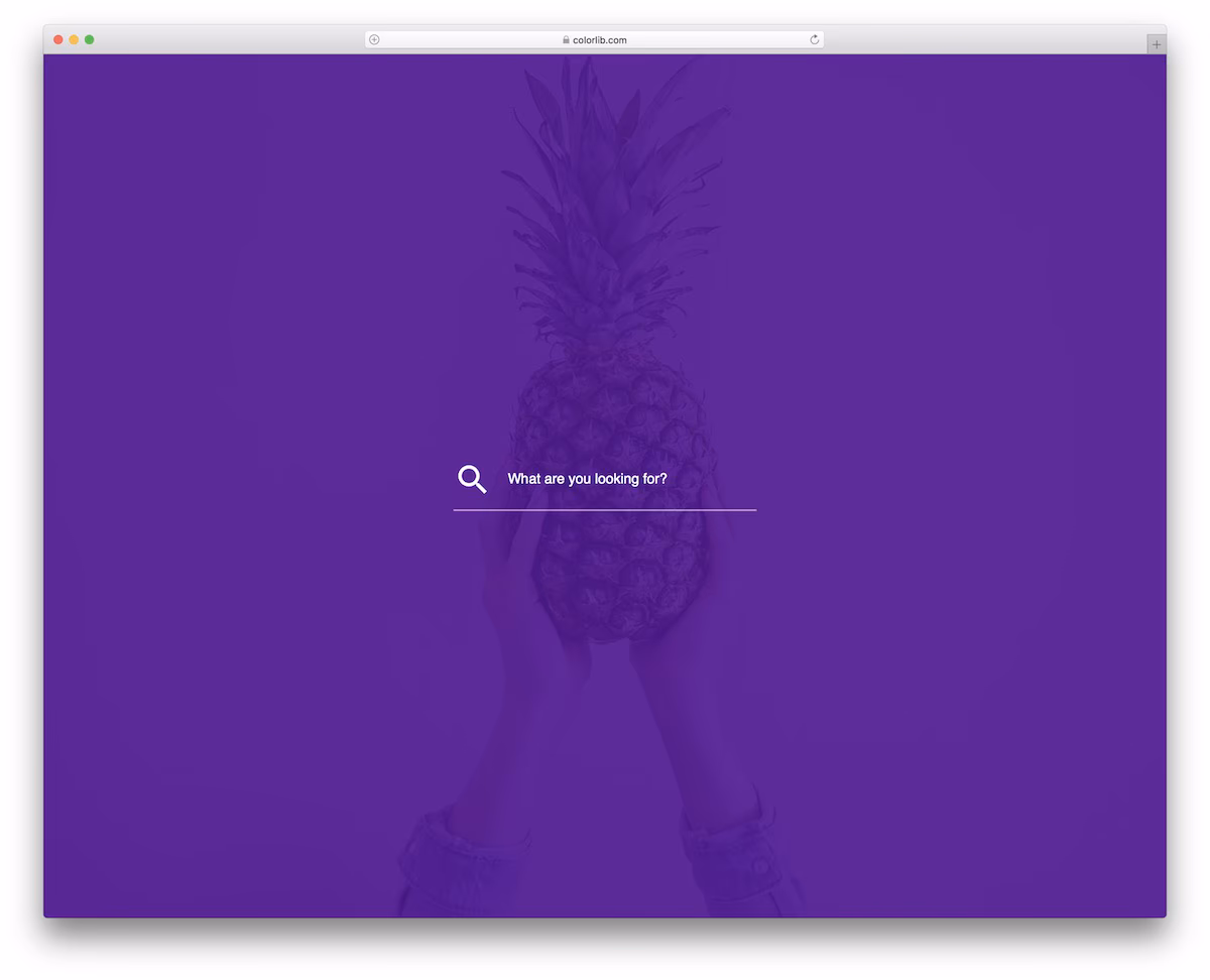 Colorlib Search Form V22