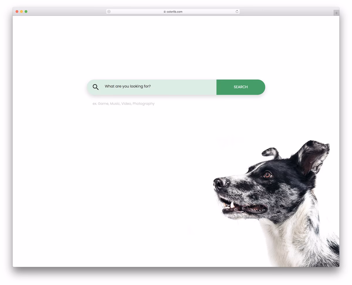 Colorlib Search Form V23