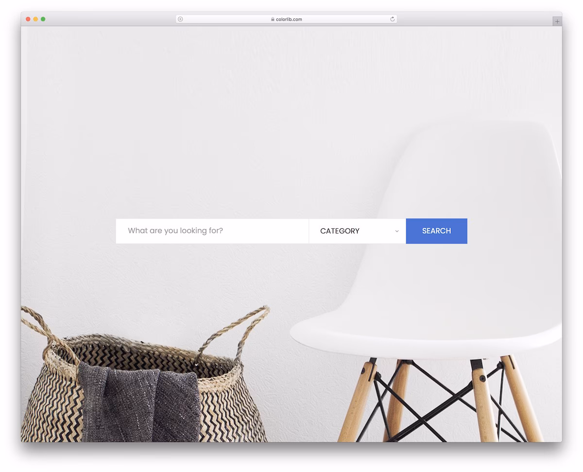 Colorlib Search Form V24