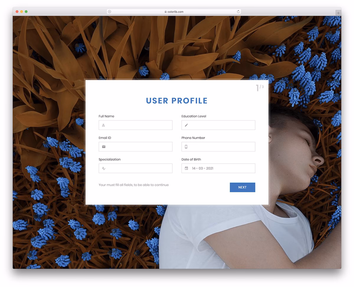 Colorlib Wizard 9