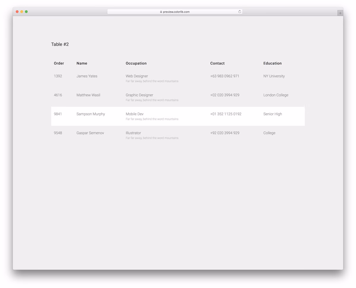 CSS Table V12