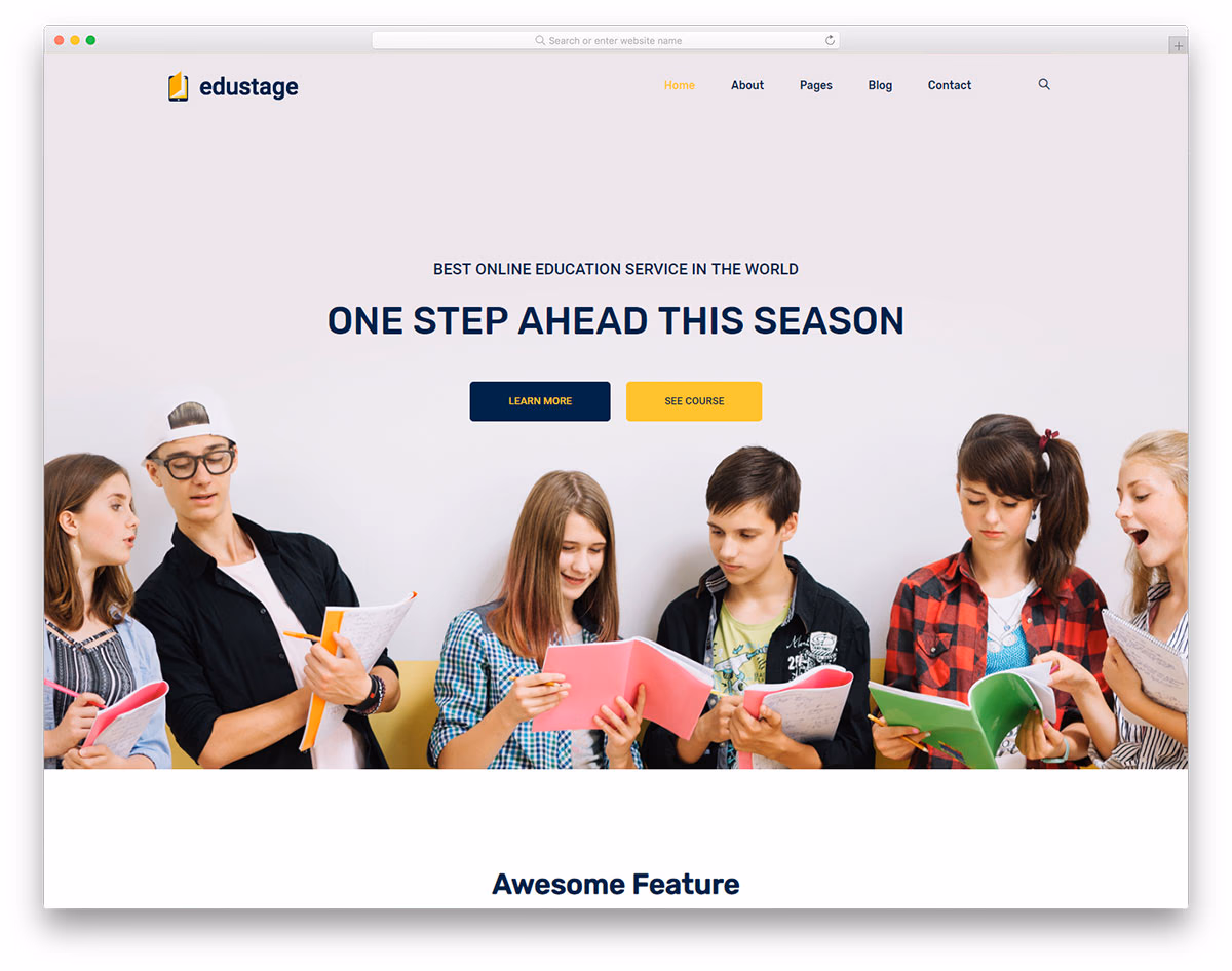 Edustage