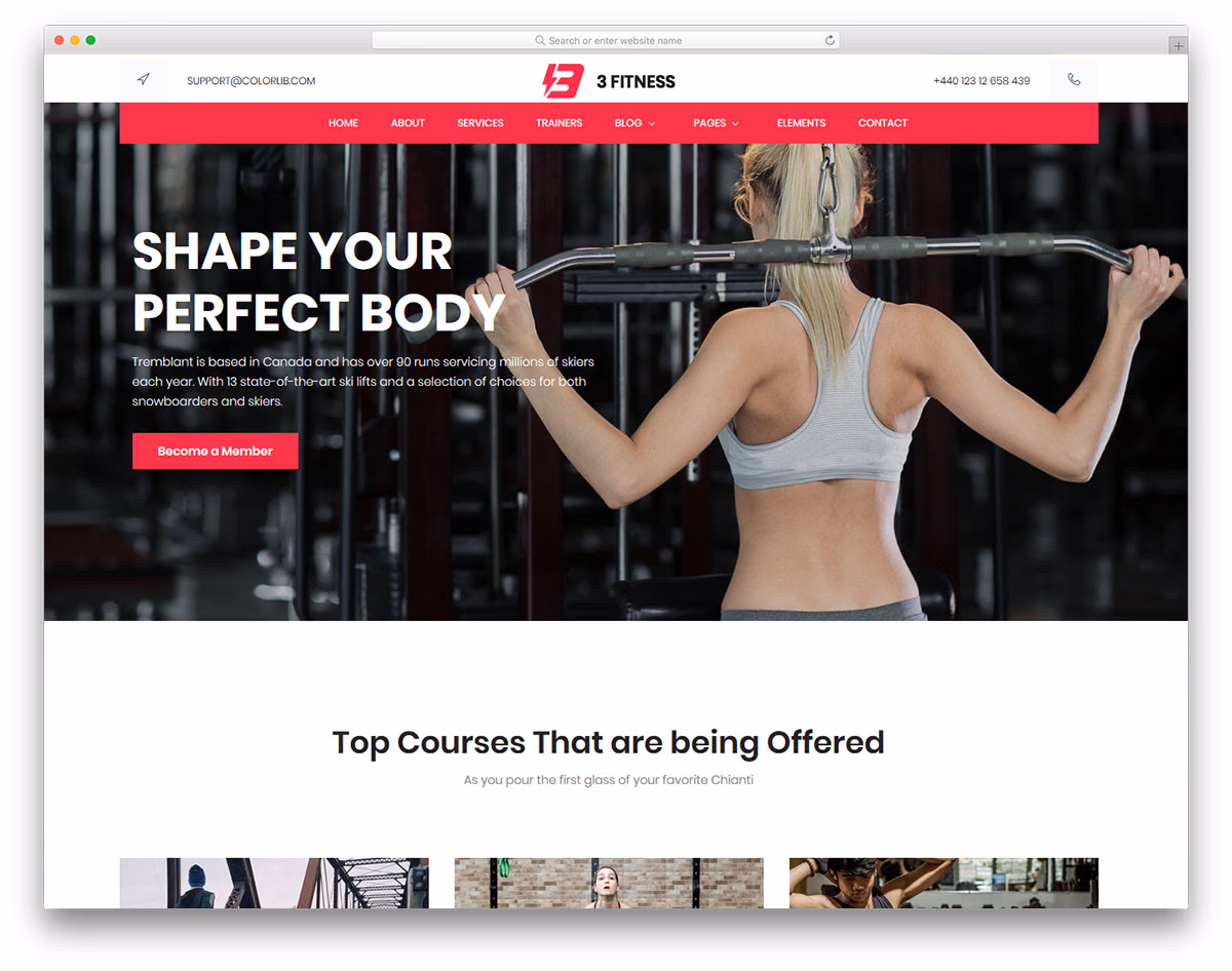 Fitness