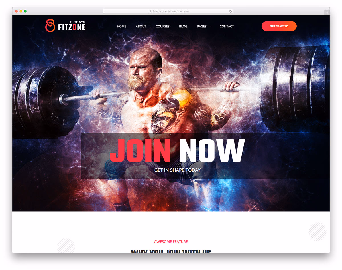 Fitzone 2