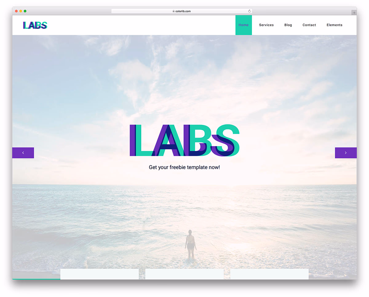 Labs