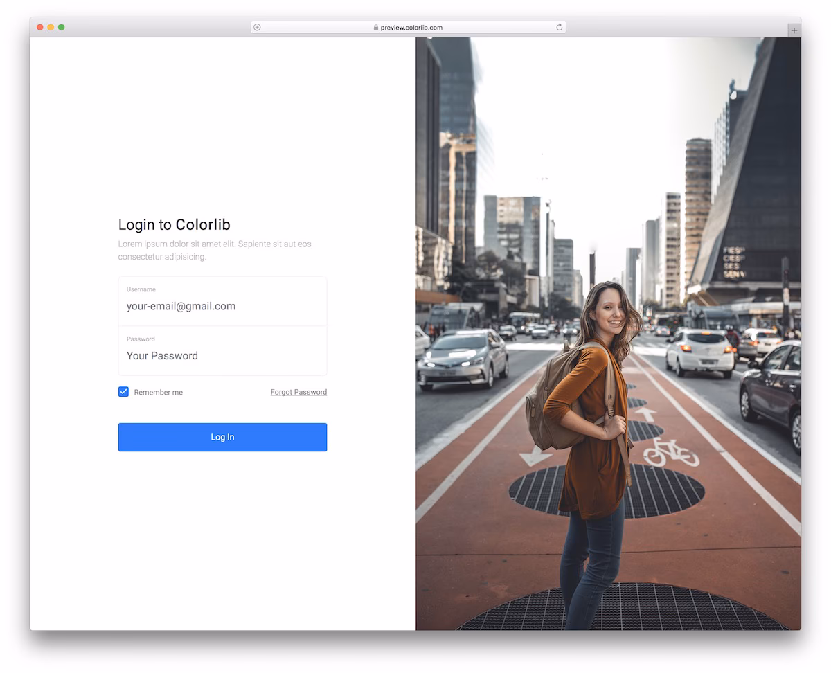 Login Form V01