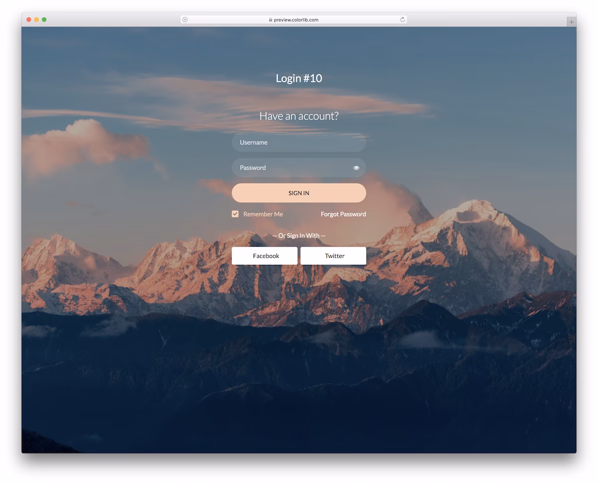 Login Form V20