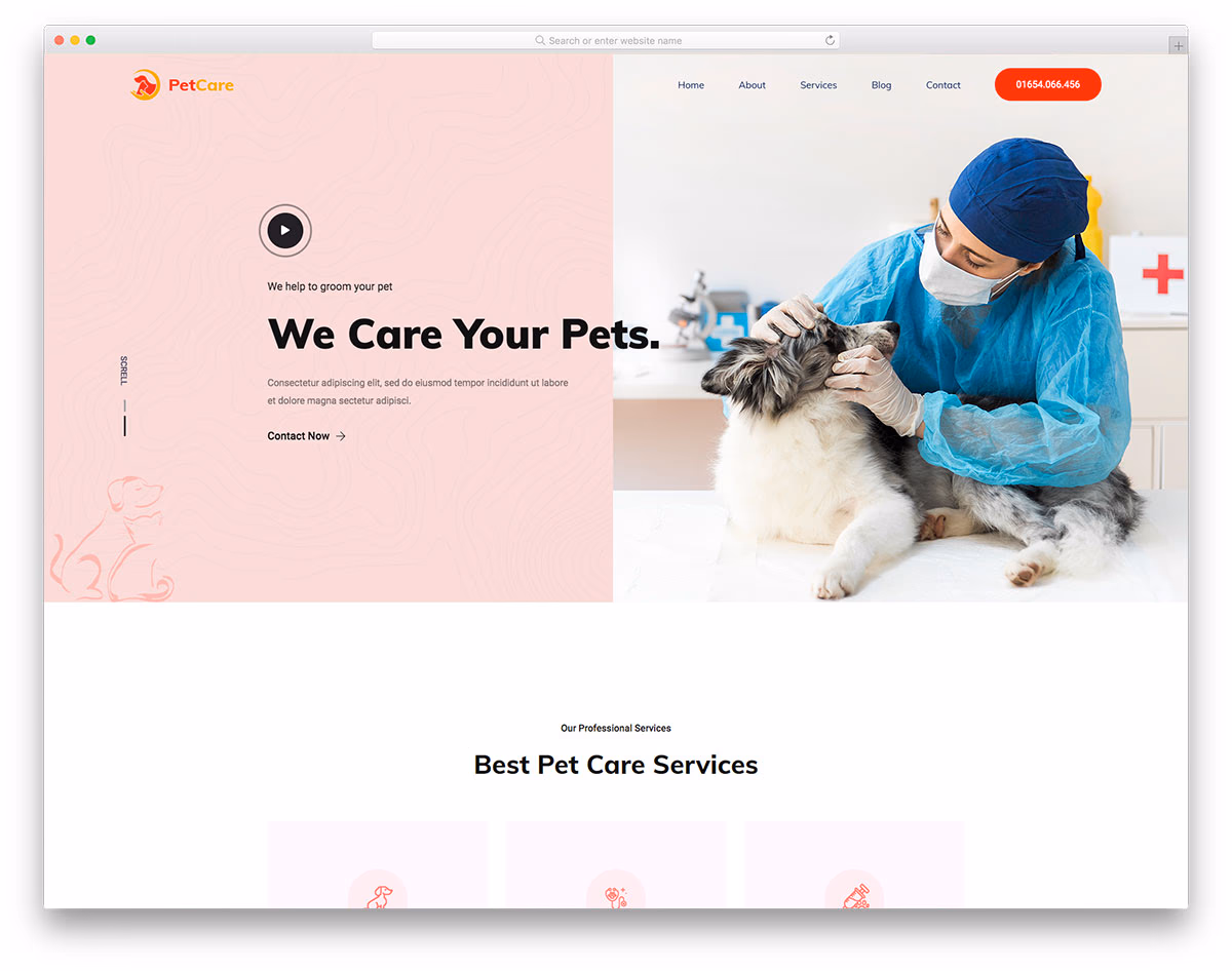 PetCare
