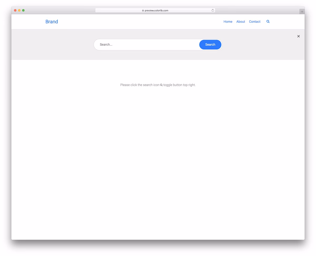 Search Form/Bar V17