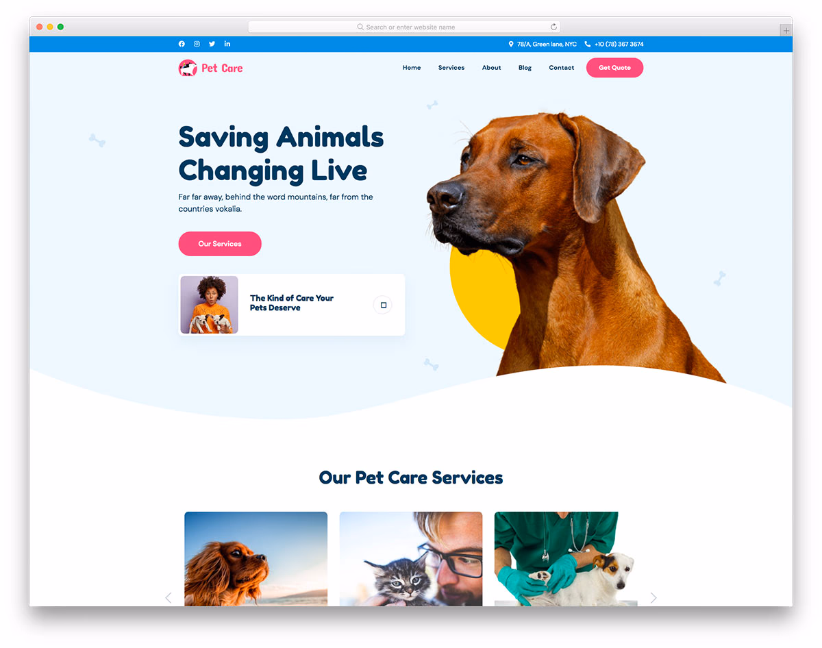 ThePetcare