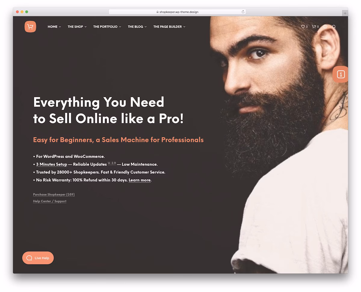 WordPress eCommerce Themes